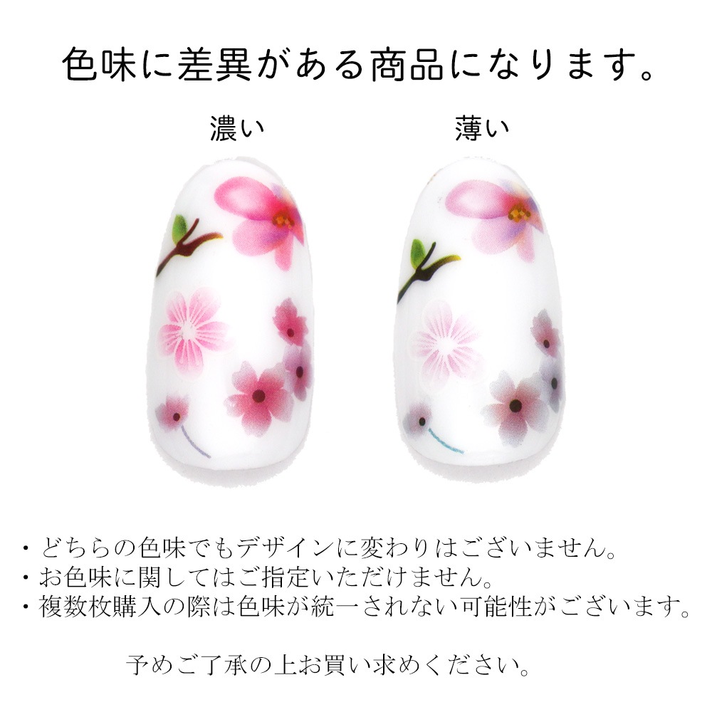 �ڥͥ��ݥ�����̵����[������] �ͥ��륷���� �ե�֥롼��ե������� [F245]