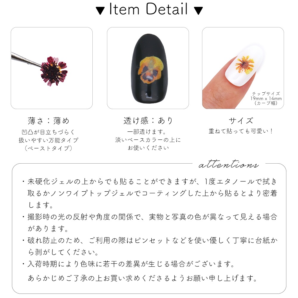 �ڥͥ��ݥ�����̵���ۥͥ��륷���� �����ƥ����ɥ饤�ե������� [MG20506-36] 