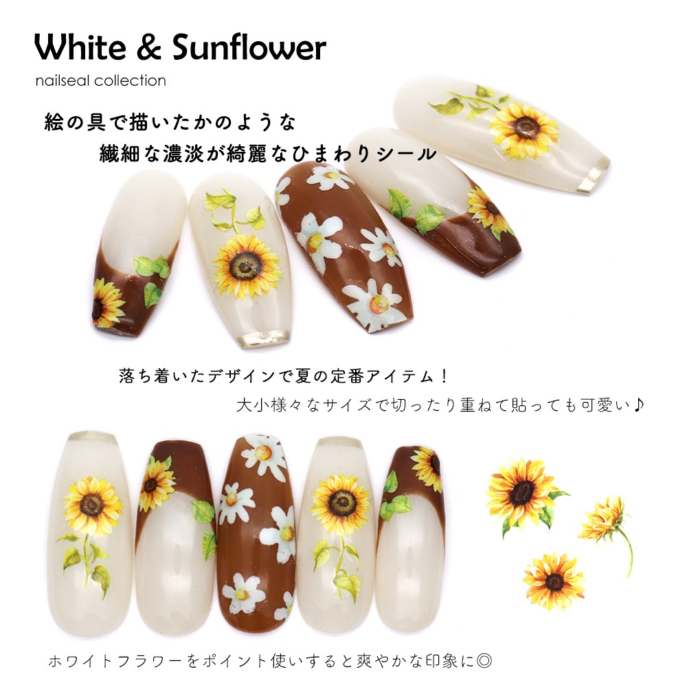 ڥͥݥ̵ۥͥ륷 ۥ磻&ե [KO670]