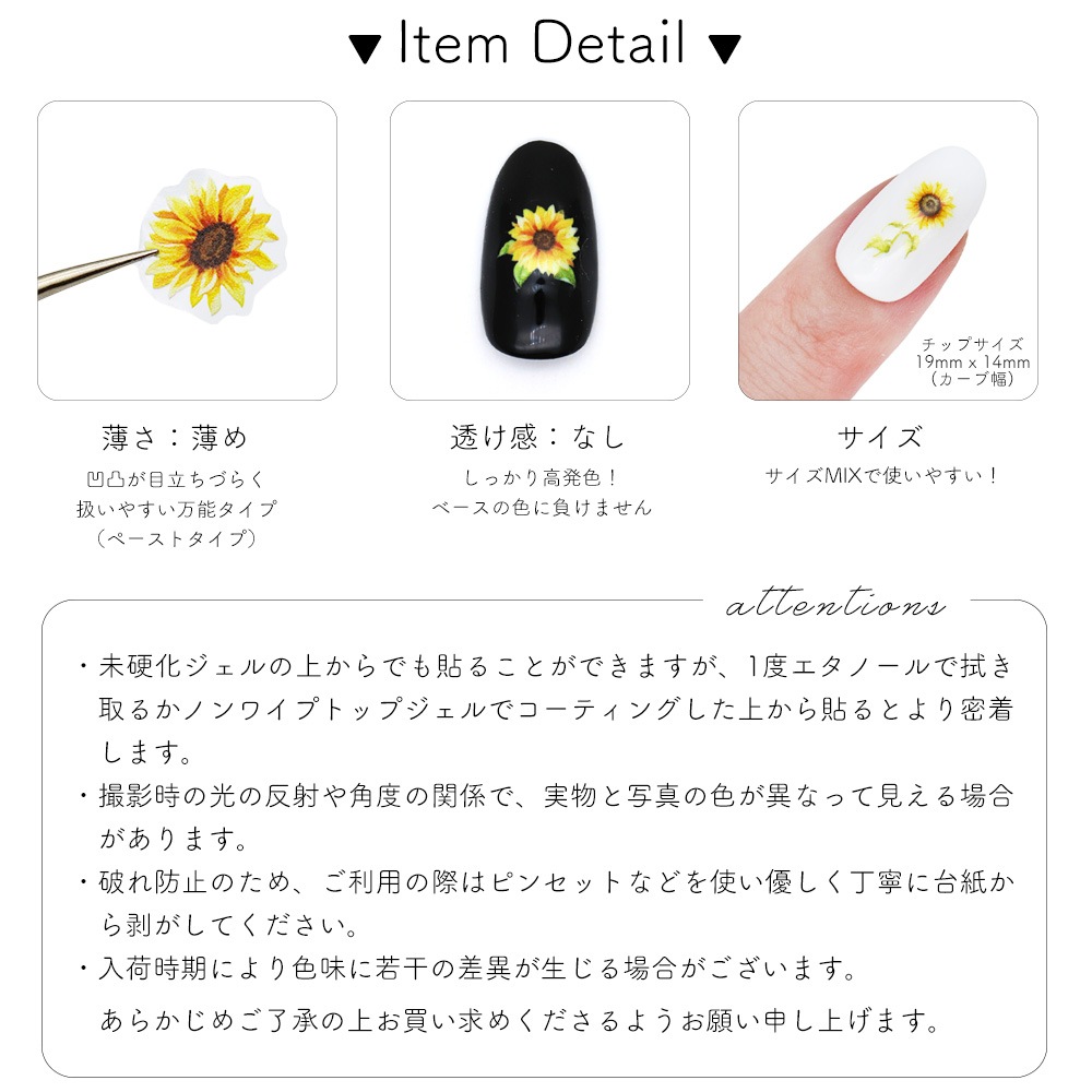 ڥͥݥ̵ۥͥ륷 ۥ磻&ե [KO670]