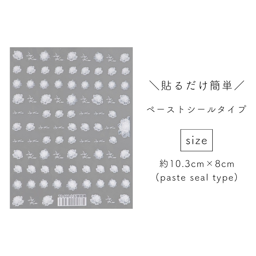 �ڥͥ��ݥ�����̵���ۥͥ��륷���� �졼�����ۥ磻�ȥե������� [TS-666] 