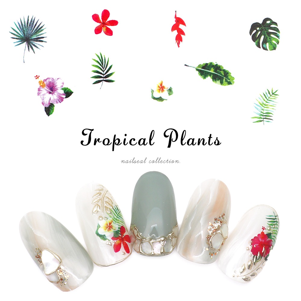 �ڥͥ��ݥ�����̵���ۥͥ��륷���� �ȥ��ԥ���ץ��ȥ����� [JO-1645]