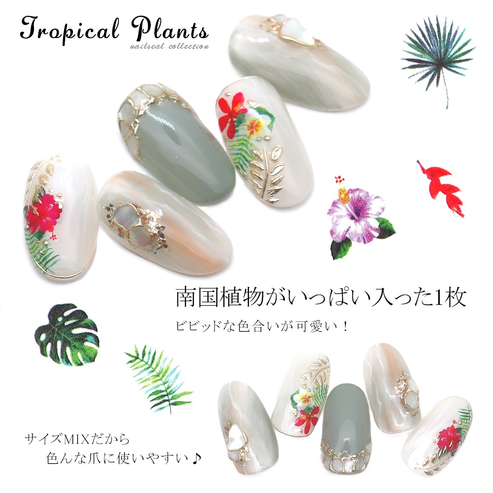 �ڥͥ��ݥ�����̵���ۥͥ��륷���� �ȥ��ԥ���ץ��ȥ����� [JO-1645]