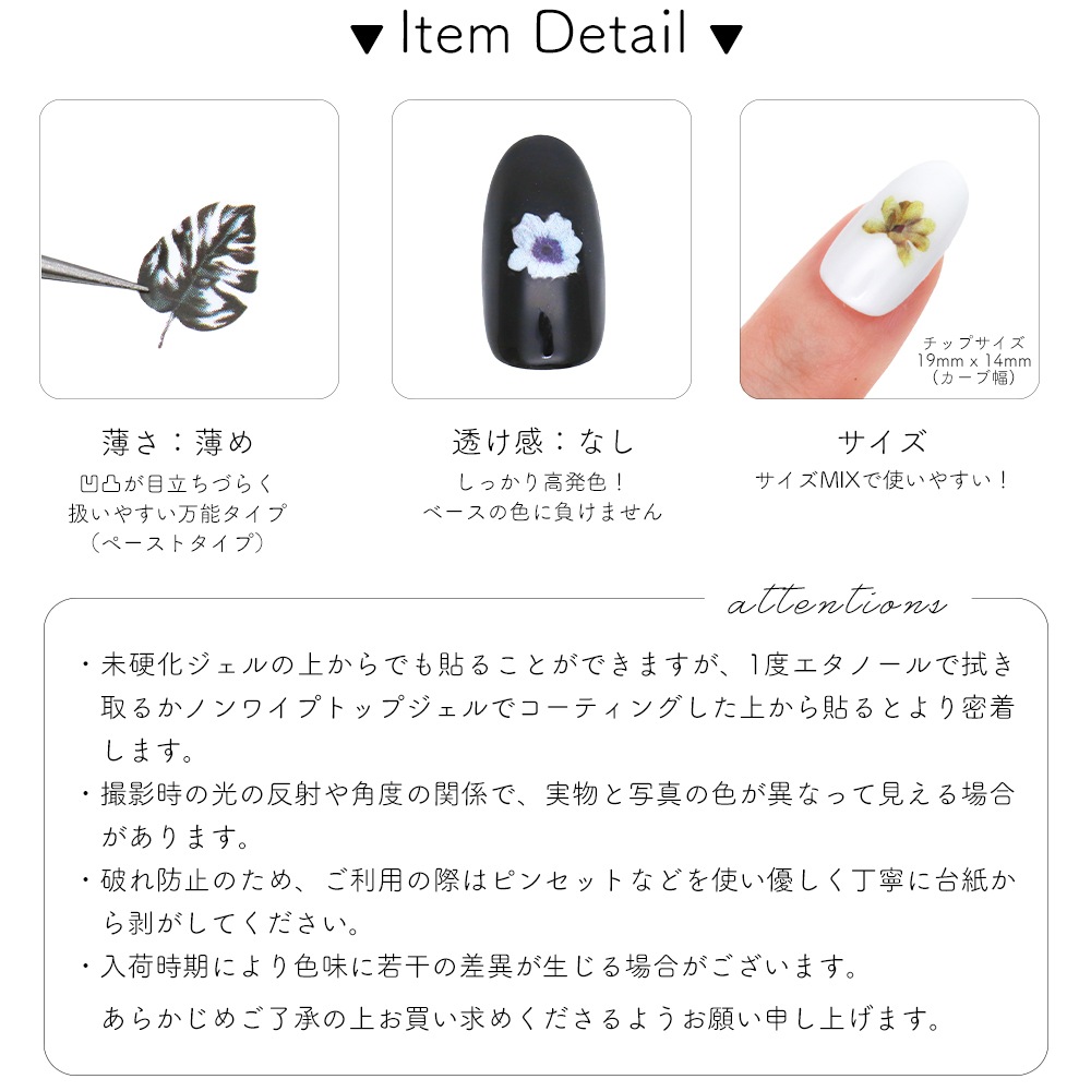 �ڥͥ��ݥ�����̵���ۥͥ��륷���� ���������顼�꡼�ե����� [MG20515-01]