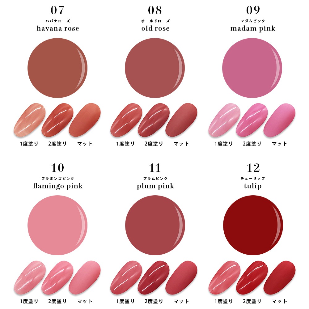 �ڥͥ��ݥ�����̵���ۡ��������åȡۥͥ��륿���󥸥��� �ƥ���ȥ����������� 12�����å�