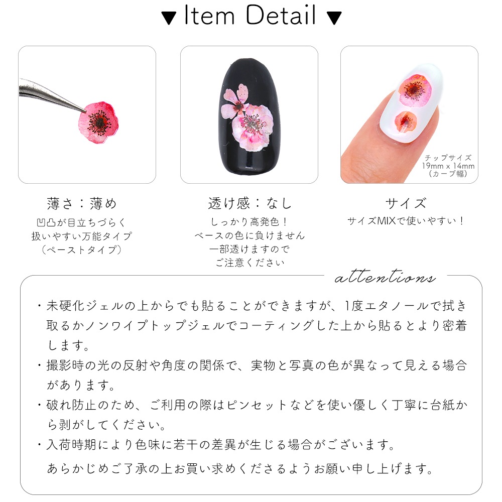 �ڥͥ��ݥ�����̵���ۥͥ��륷���� ���󥭡����ͥ�ͥ����� [F775] 