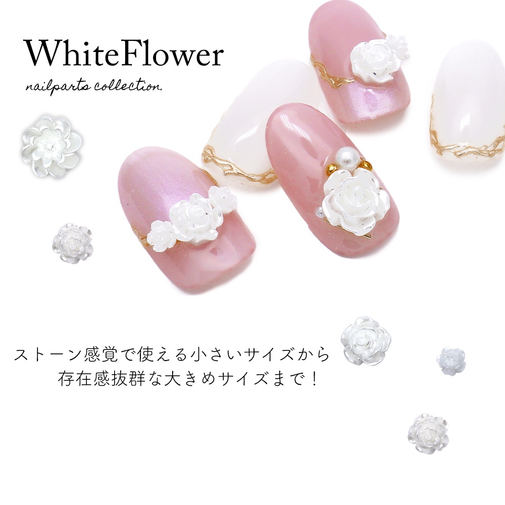 �ڥͥ��ݥ�����̵���ۥͥ���ѡ��� �ۥ磻�ȥե��ѡ��� 10������ ��4��