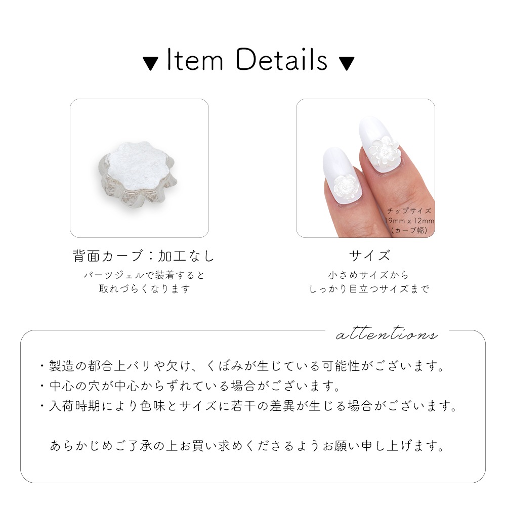 �ڥͥ��ݥ�����̵���ۥͥ���ѡ��� �ۥ磻�ȥե��ѡ��� 10������ ��4��