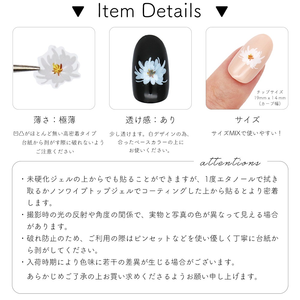 ڥͥݥ̵ۥͥ륷 ʥڥۥ磻ȥե 2