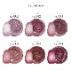 ڥͥݥ̵Ķγ 5ߥ ޤǥߥå ޥͥåȥͥ 顼 irogel MG꡼ vol.3 5micron Magnet ʤˤ 6 3g
