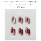 ڥͥݥ̵Ķγ 5ߥ ޤǥߥå ޥͥåȥͥ 顼 irogel MG꡼ vol.3 5micron Magnet ʤˤ 6 3g