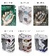 ԥ ե PETITE(ץ) ꥹ  SWAROVSKI CRYSTAL PIXIE 5g 15 饤󥹥ȡ ͥ륢 䤷 ǥ