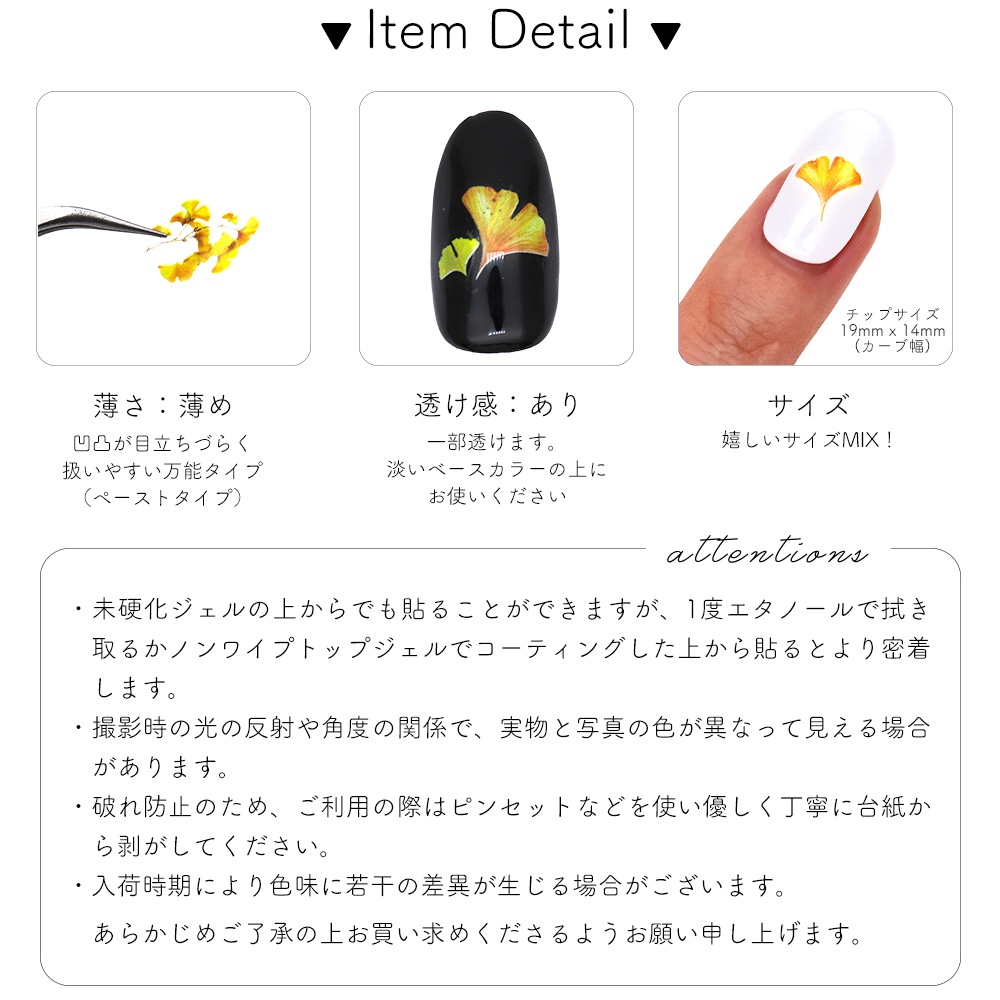 �ڥͥ��ݥ�����̵���ۥͥ��륷���� �֥�ꥢ��ȥ����祦������ [F756]