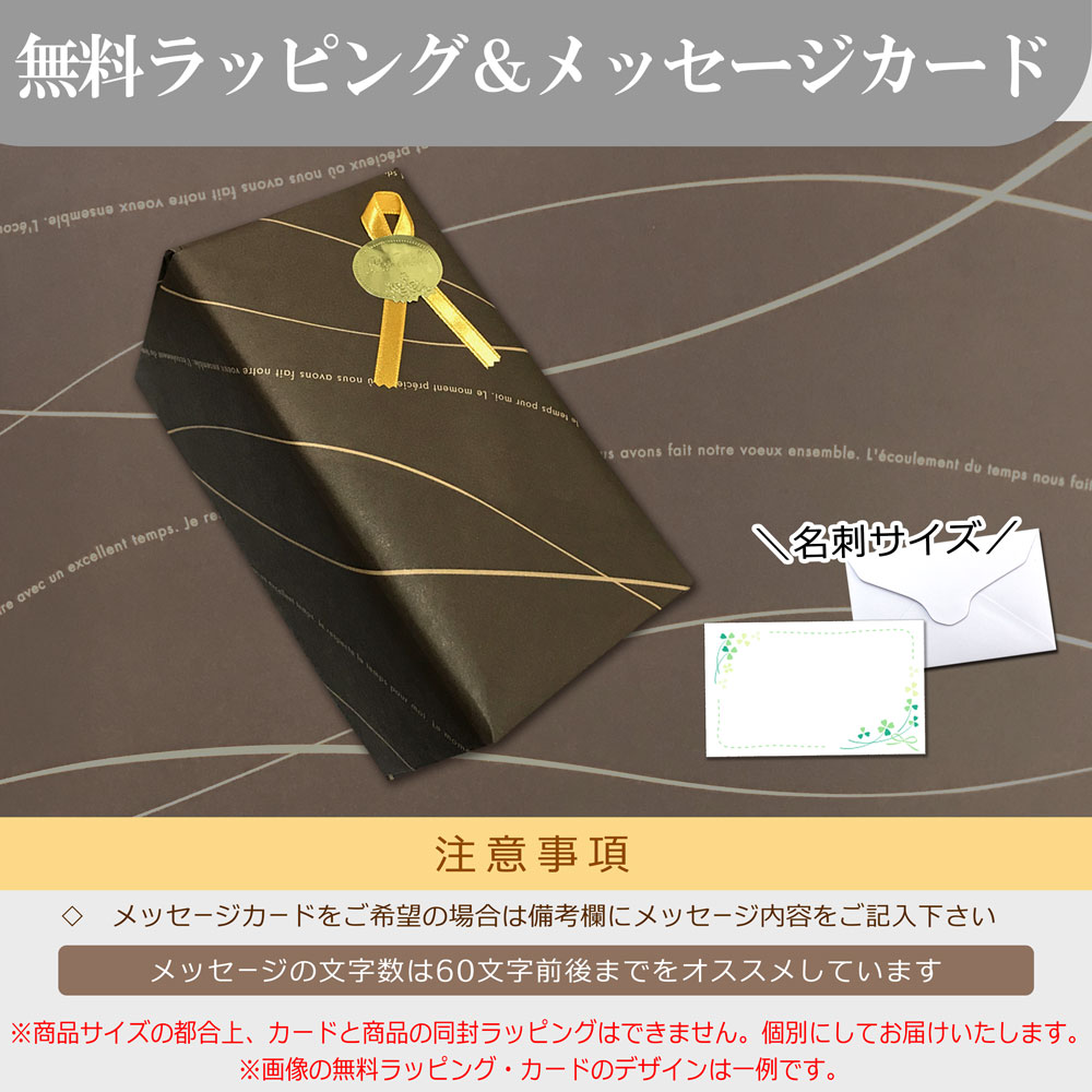 【名入れ込み】 ステンレス 水筒 ウェルフ スリムボトル 450ml ブルー 保冷専用 WELF