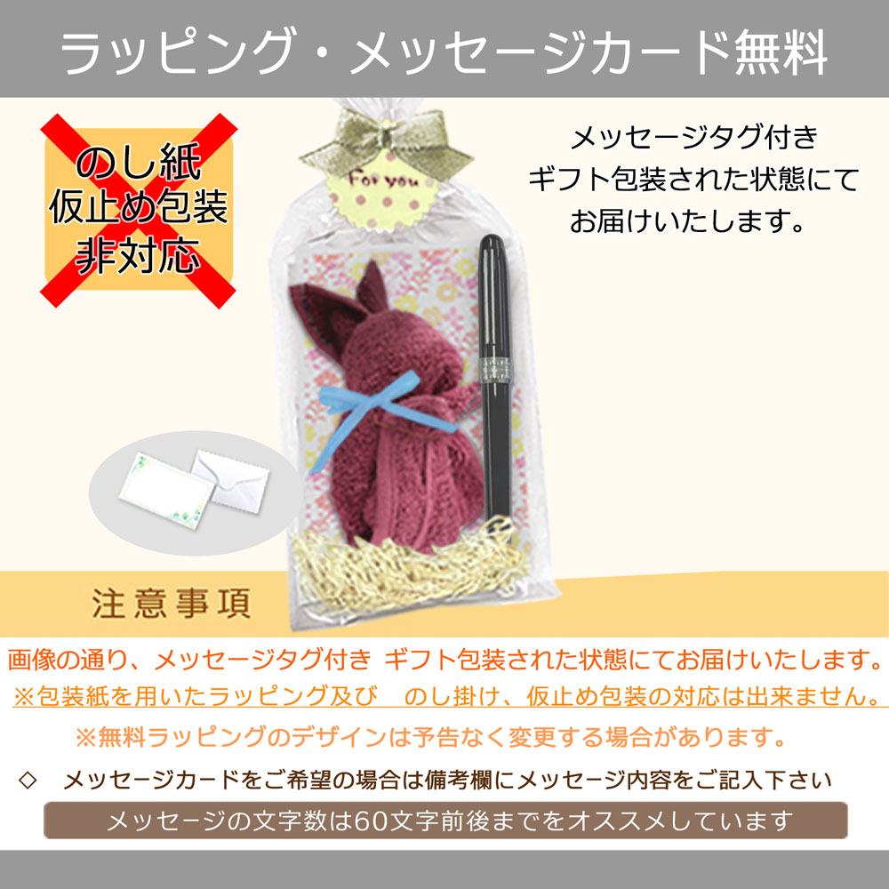 卒業記念に 名入れ 万年筆 ＆ 今治 タオルハンカチ タオルアート セット （クマ・うさぎ） PGB-1000 プラチナ プレジール （色付きペン先＆クリップ）