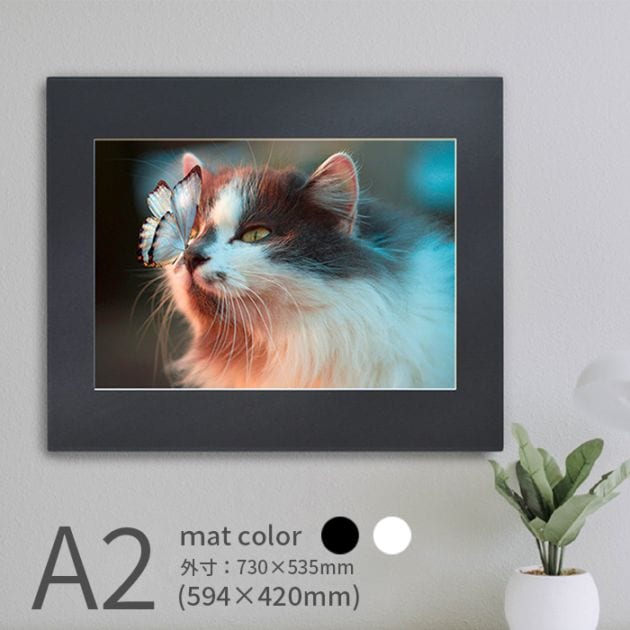 写真パネル 写真A2サイズ用（594×420mm） 軽量 入れ替え簡単 フォトコンパネル ※返品・交換不可 
