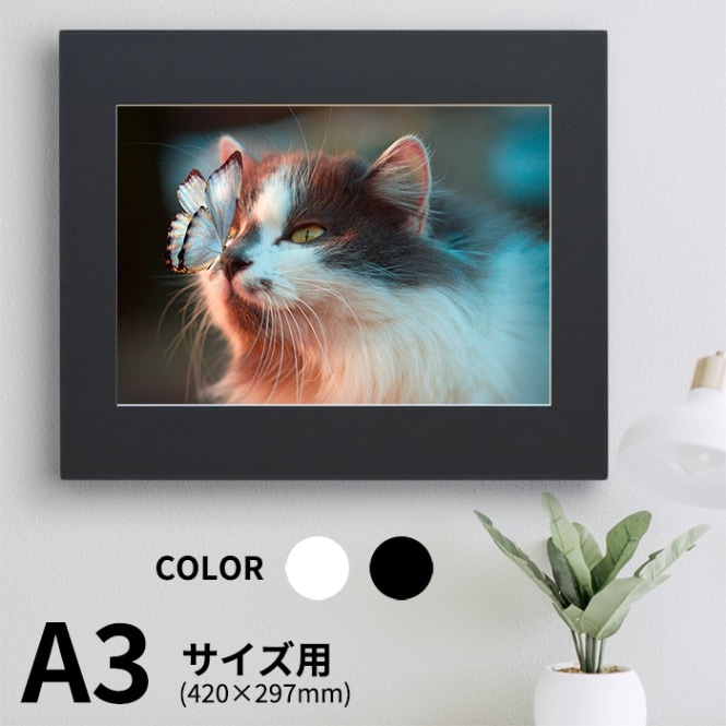 ジョングク　マスター　額縁　フォトパネル　PTDコン　A3 ジョングク マスター 額縁 フォトパネル PTDコン A3 - メルカリ
