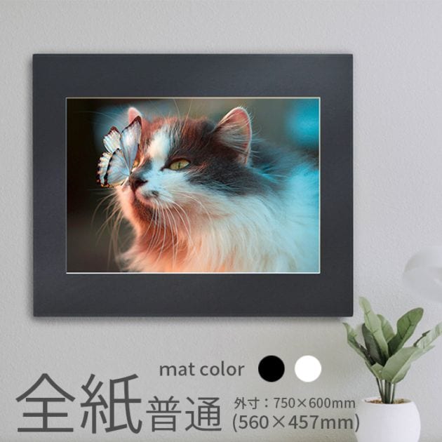 写真額 Amazon.co.jp: [i-story] ミニ5穴用 システム手帳リフィル ②