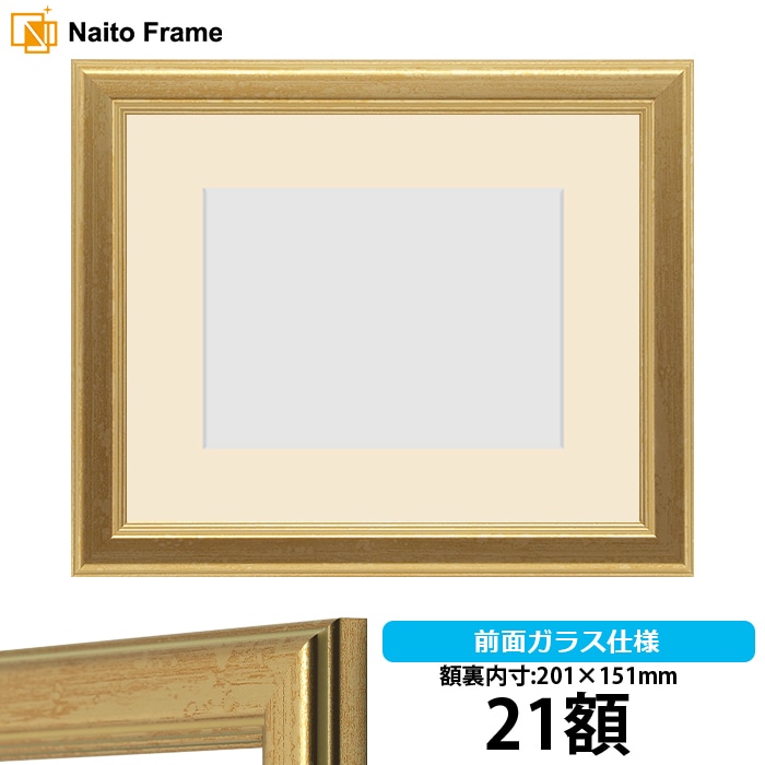 【アウトレット】 【キズあり品】押し花額縁 9564/ゴールド 21額（201×151mm） 前面ガラス仕様 マット付 [osbn-C] oshibana-9564-g-21 ※アウトレット品につき注文後のキャンセル・返品交換不可
