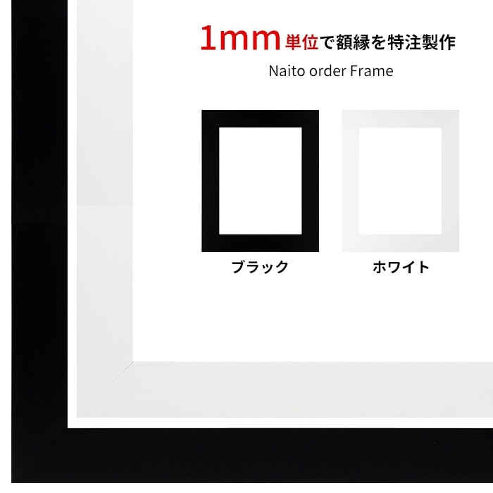 タテヨコ合計801～900mm