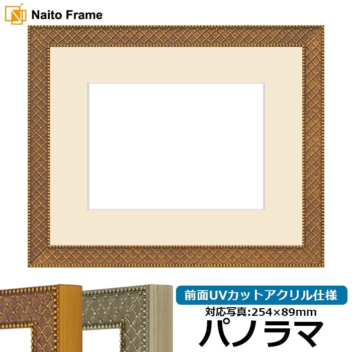 写真用額縁 アレグラ2/ゴールド（A-226712） パノラマ（254×89mm） 前面UVカットアクリル仕様 マット付き ラーソン・ジュール