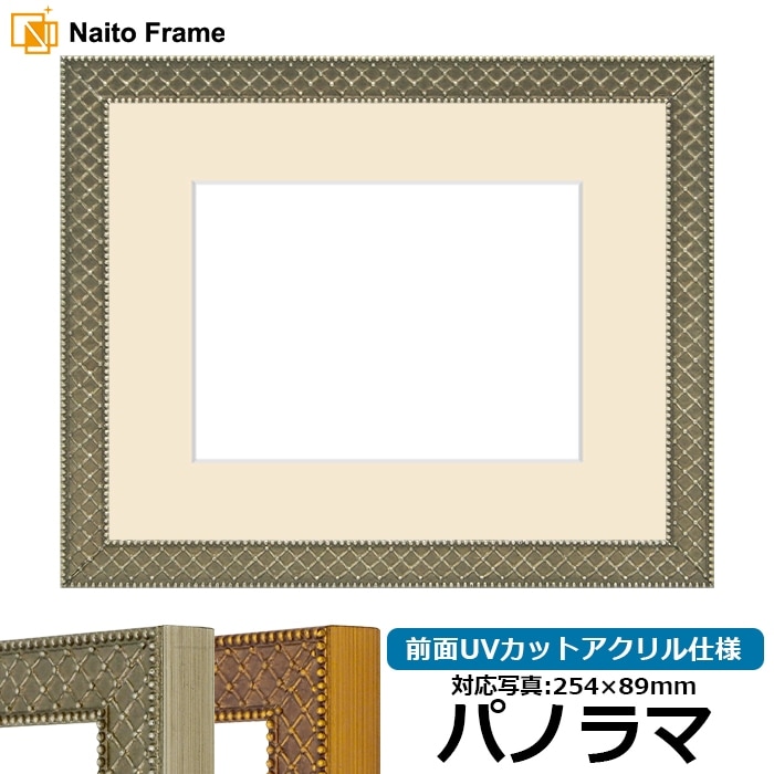 写真用額縁 アレグラ2/シルバー（A-226714） パノラマ（254×89mm） 前面UVカットアクリル仕様 マット付き ラーソン・ジュール