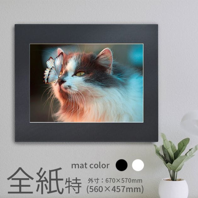 写真パネル 写真全紙サイズ用(560×457mm) 小(パネル外寸：730×535mm