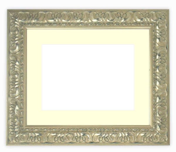 押し花額縁 246/シルバー 49額（485×395mm） マット付【osbn-C】 ※特殊加工品につき注文後のキャンセル・返品交換不可