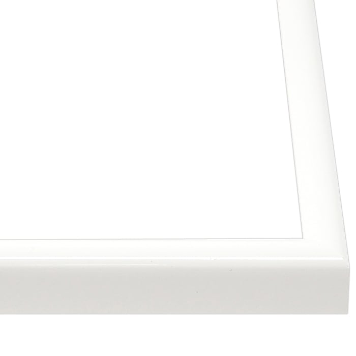 【キズあり品】 押し花額縁 J型/白 18額（180×135mm） マット付【osbn-C】 ※特殊加工品につき注文後のキャンセル・返品交換不可