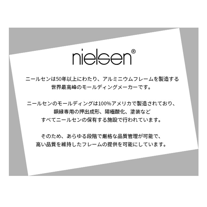 デッサン額縁 NS002/シルバー（07-FS33） B4（364×257mm） 前面UVカットアクリル仕様 ラーソン・ジュール