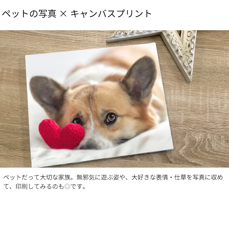 【送料無料】表面光沢仕上げ キャンバスプリント 長方形・正方形タイプ（長方形サイズ：F0～F25 正方形：S0～S20）スマホやパソコンの写真を簡単入稿　送料無料