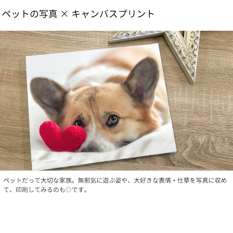 表面光沢仕上げ】大型サイズキャンバスプリント 長方形・正方形タイプ