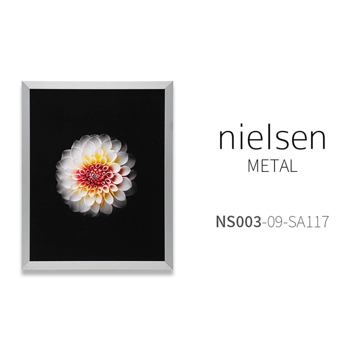 デッサン額縁 NS003/シルバー(09-SA117) インチ(254×203mm) 前面UVカットアクリル仕様 ラーソン・ジュール