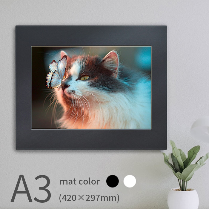 写真パネル 写真A3サイズ用（420×297mm） 軽量 入れ替え簡単 フォト