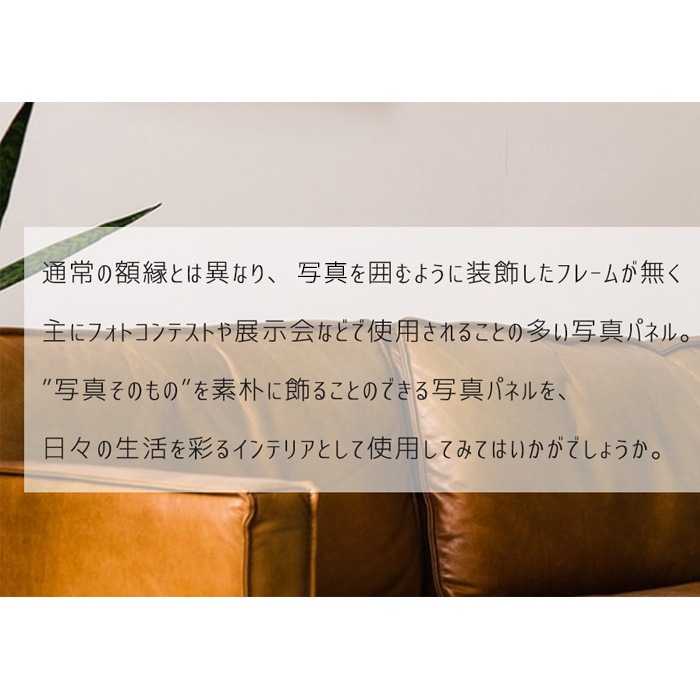 写真パネル 写真A3ノビサイズ用（483×329mm）入れ替え簡単、軽量! フォトコンパネル 額縁 ブラック/ホワイト ※返品・交換不可