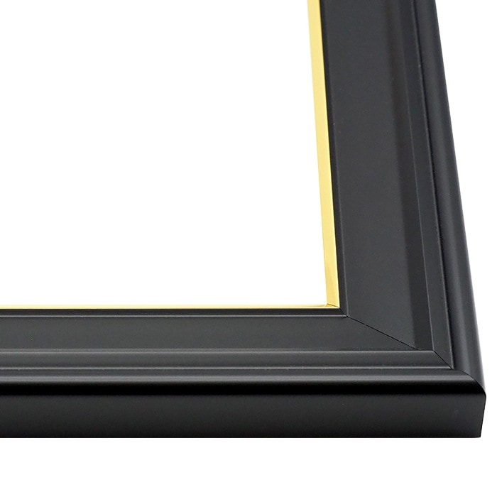 【キズ・ヘコミ有り品】 デッサン額縁 寸五入山 B5(257×182mm) 前面UVカットアクリル仕様