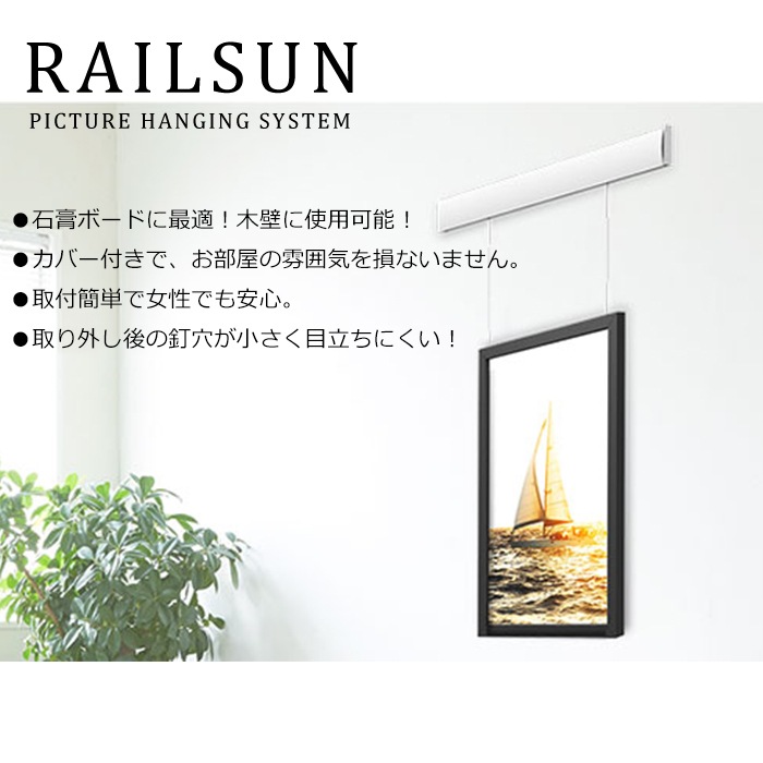 石膏ボード用レールサン（ピクチャーレール）Bセット 30cm/ホワイト（ワイヤーがシルバー色です） ボール式ワイヤー自在付き WRS-30B 福井金属工芸