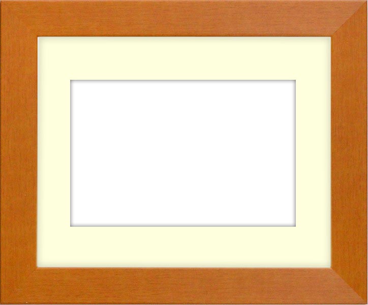 押し花額縁 1530/チーク 49額（485×395mm） マット付【osbn-C】 ※特殊加工品につき注文後のキャンセル・返品交換不可