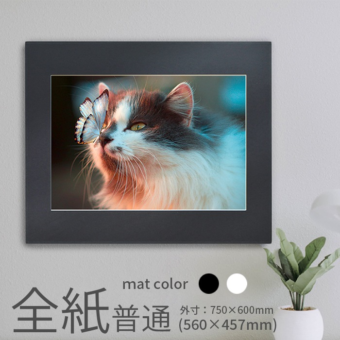 写真パネル 写真全紙サイズ用(560×457mm) 普通(パネル外寸：750×600mm) 軽量 入れ替え簡単 フォトコンパネル ※返品・交換不可 