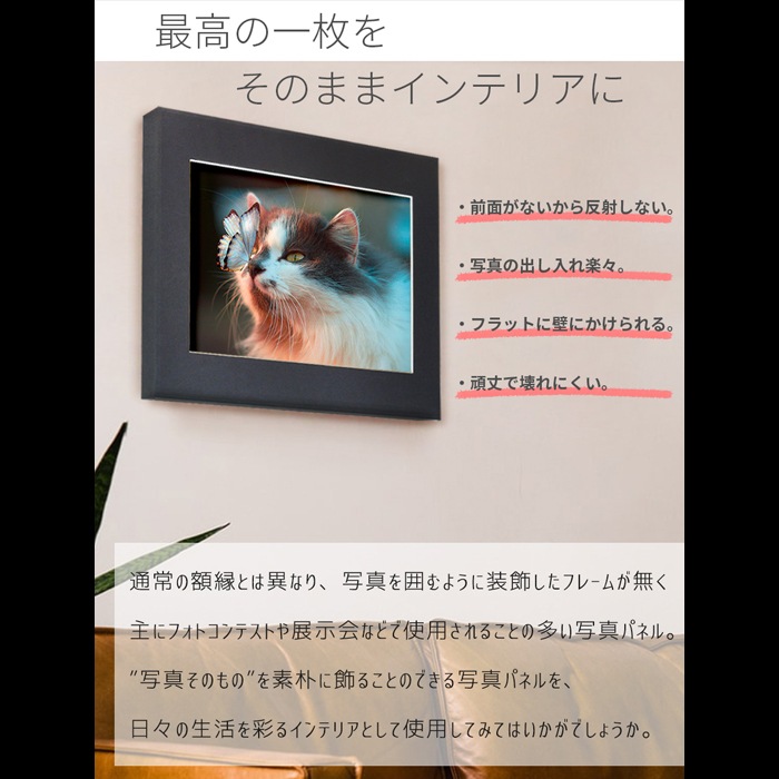 写真パネル 写真全紙サイズ用(560×457mm) 小(パネル外寸：730×535mm) 軽量 入れ替え簡単 フォトコンパネル ※返品・交換不可 