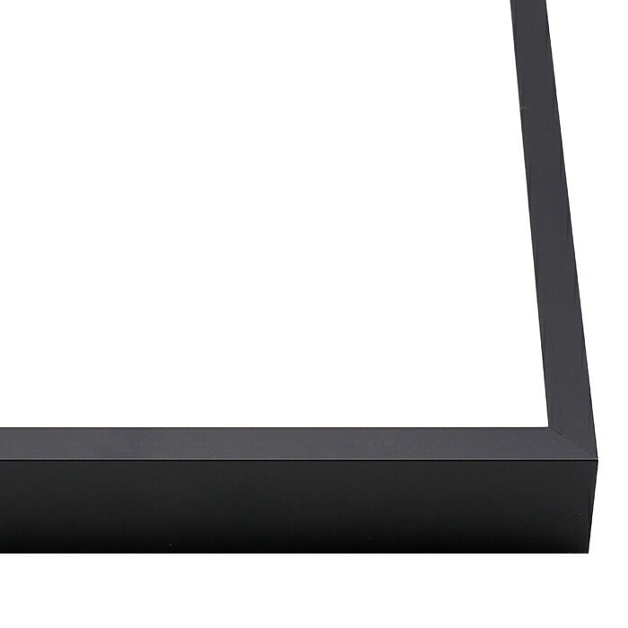 デッサン額縁 NS004/ブラック（09-MT117） B2（728×515mm） 前面UVカットアクリル仕様 ラーソン・ジュール