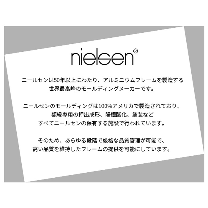 デッサン額縁 NS004/ブラック（09-MT117） B2（728×515mm） 前面UVカットアクリル仕様 ラーソン・ジュール