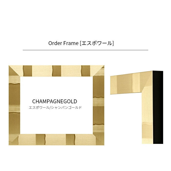 【作品サイズタテヨコ合計801～900mmまで】 オーダーフレーム エスポワール シルバー/ブラック/シャンパンゴールド 前面UVカットアクリル仕様 ※特注品につき注文後のキャンセル・返品交換不可