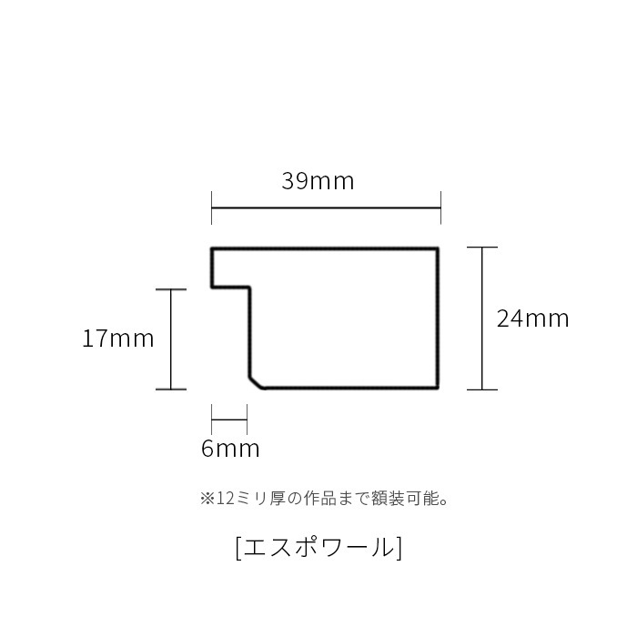 【アウトレット】 デッサン額縁 エスポワール/シャンパンゴールド 三三（606×455mm） 前面UVカットアクリル仕様 espoir-sg-san-a ※アウトレット品につき注文後のキャンセル・返品交換不可