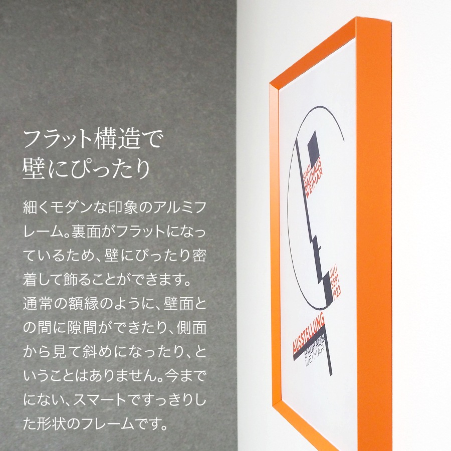 ラインフレーム 5020 B2（728×515mm） グリーン/ブルー/オレンジ/レッド/パープル 前面UVカットアクリル仕様 大額