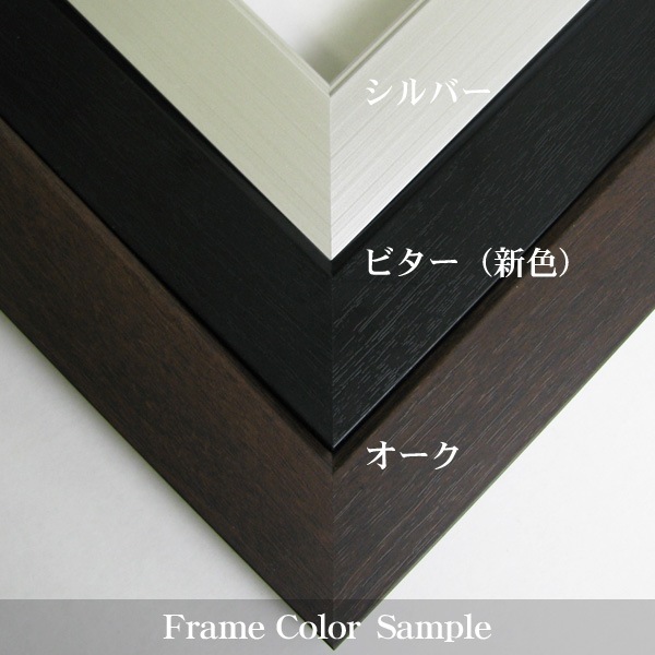 前開きタイプ ユニフォーム額縁 両面UVカットアクリル Mサイズ（収容寸法：900×740×34mm） ハンガー付き アルナ ※大型商品につき注文後のキャンセル・返品交換不可 [送料別商品]