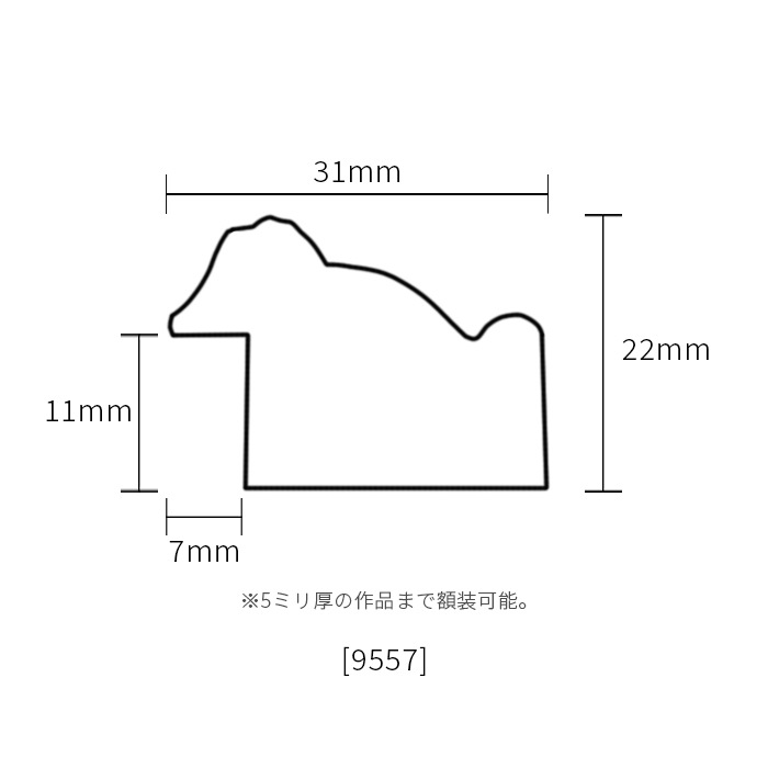 デッサン額縁 9557/シルバー インチ（254×203mm） 前面UVカットアクリル仕様