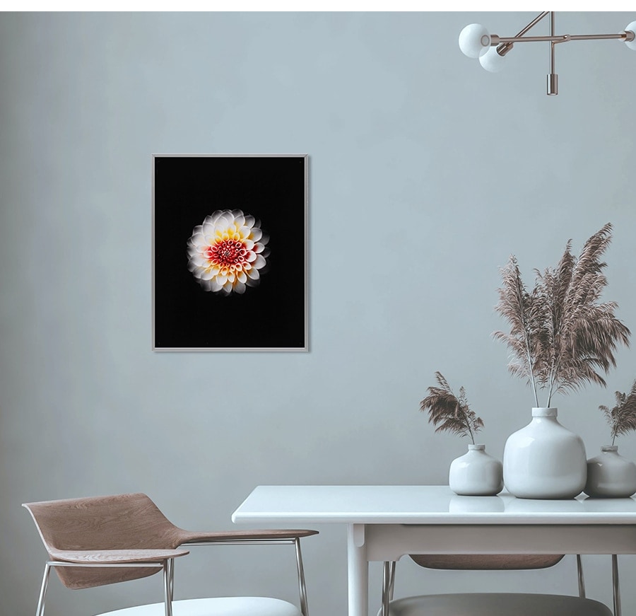 Yahoo!オークション -「小絲源太郎」(絵画) (美術品)の落札相場
