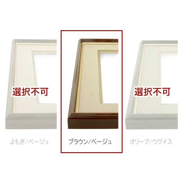 【アウトレット】 色紙額 4954 ブラウン/ベージュ 普通色紙サイズ（272×242mm） 前面ガラス仕様 大額 4954-br ※アウトレット品につき注文後のキャンセル・返品交換不可