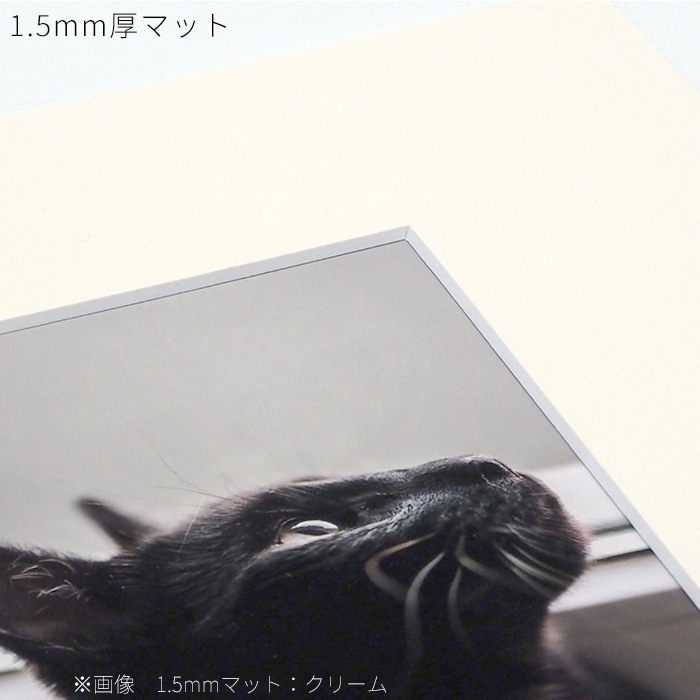 額縁用カラーマット 押し花2号（210×154mm） 【中抜きサイズは160×104mm以下でご指定下さい】